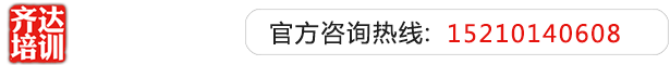 b日本一品骚齐达艺考文化课-艺术生文化课,艺术类文化课,艺考生文化课logo